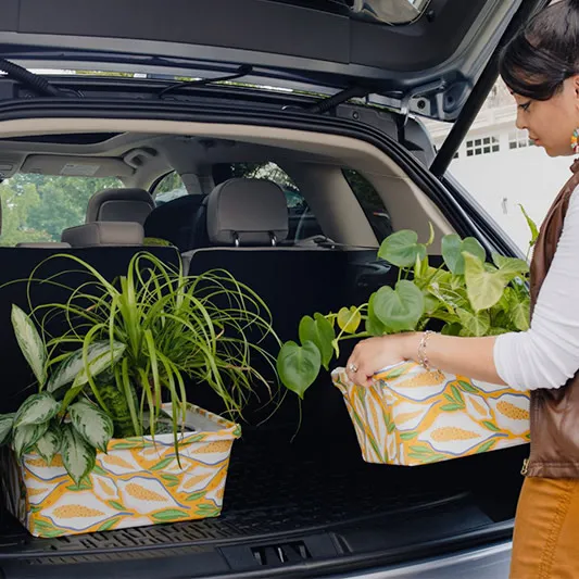 Person placing patterned tubs with plants in a car.