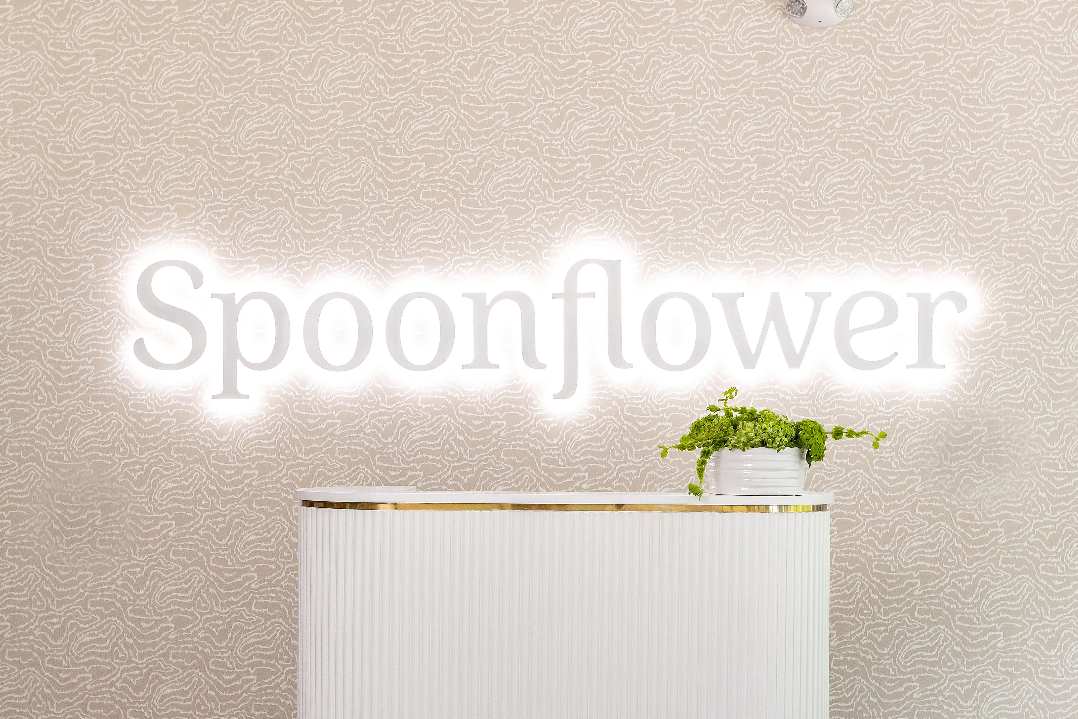 Neon Spoonflower sign above front desk