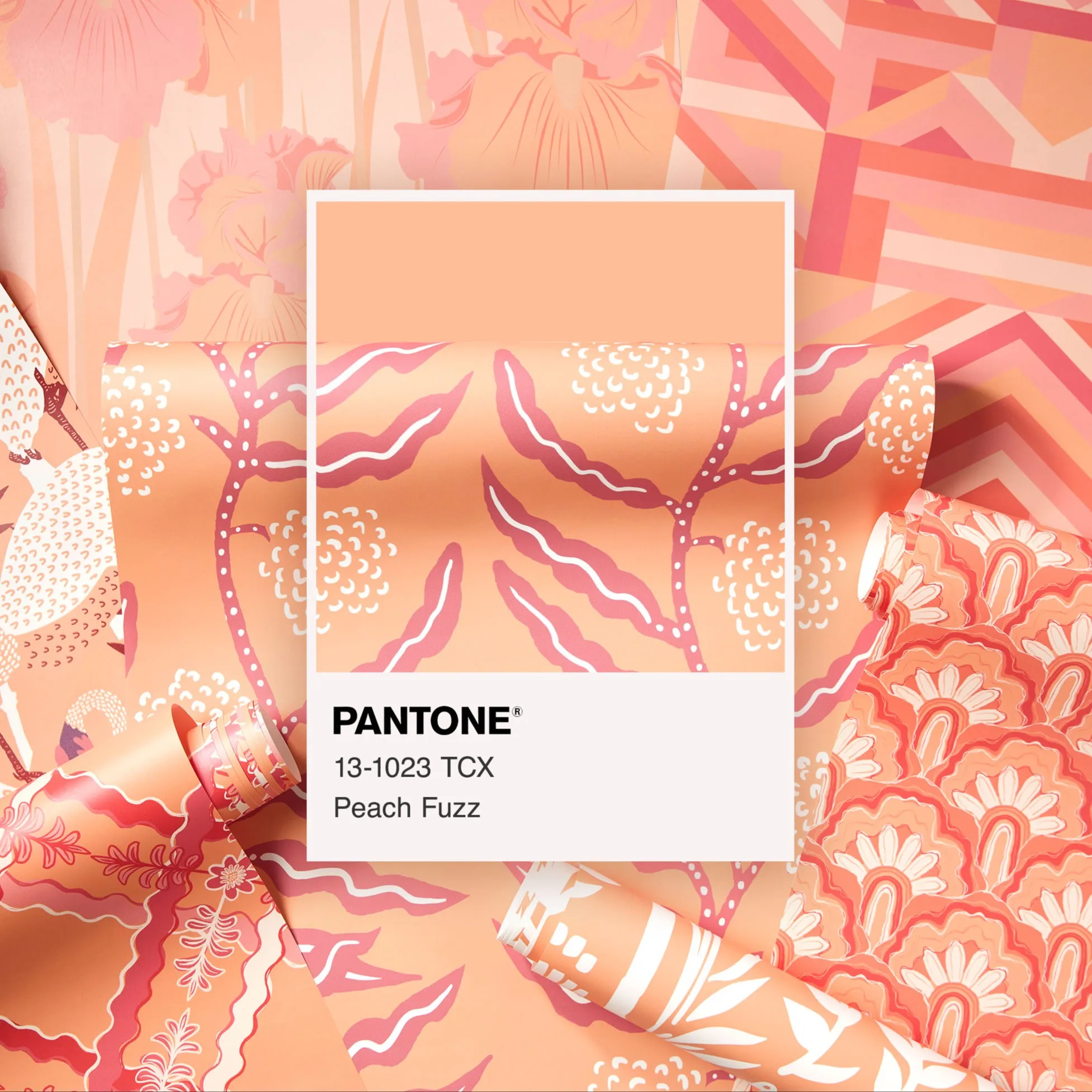 Peach colored wallpapers spread around Pantone color card